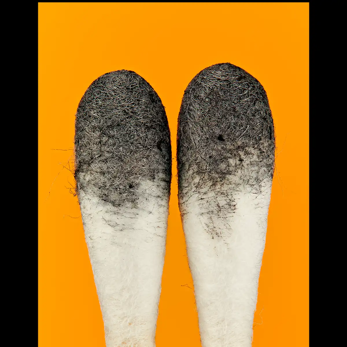 two spore covered swabs with orange backround