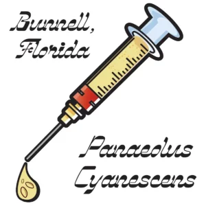 yellow spore syringe with black font bunnell text
