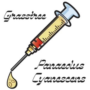 yellow spore syringe with black font grasstree text