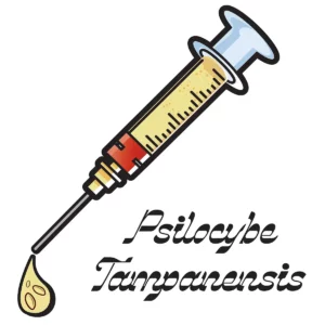 yellow spore syringe with black font psilocybe tampanenis text
